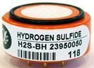 H2S-BH Hydrogen Sulfide Sensor: